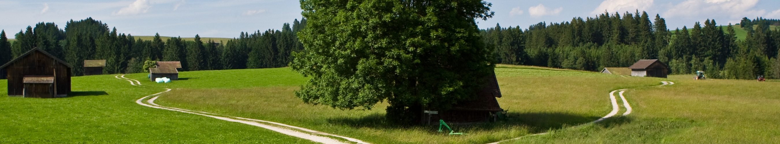 Wegzweigung eines Feldweges